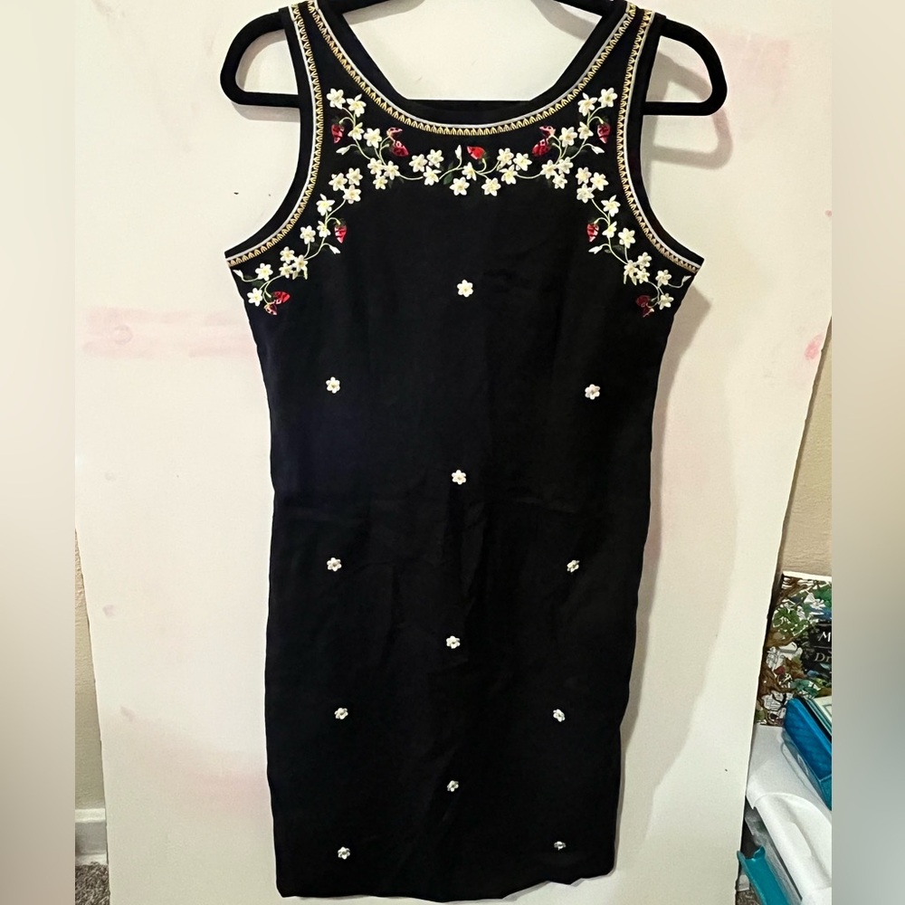 Ultra Collection Black with strawberry Floral Embroidery Mini Dress